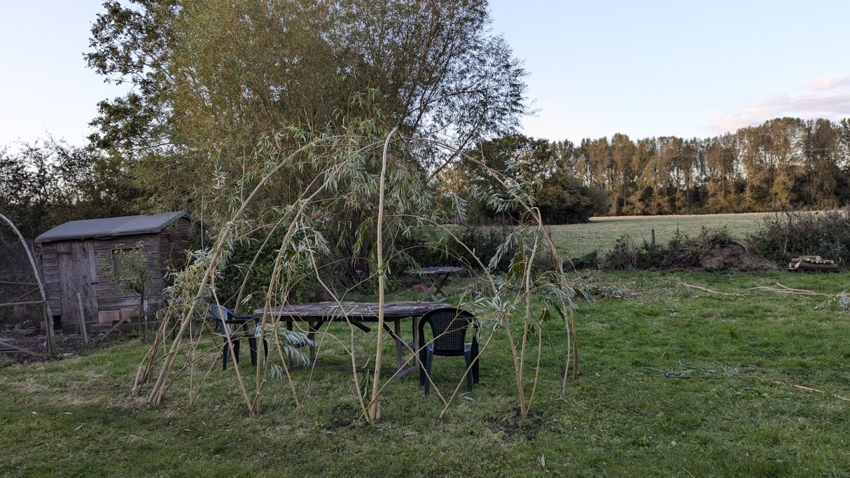 Living willow garden structure