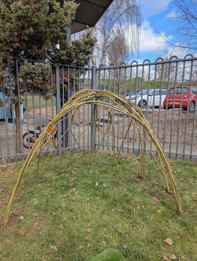 Living willow school playground archway/bower