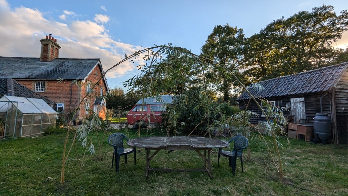 Living willow garden structure